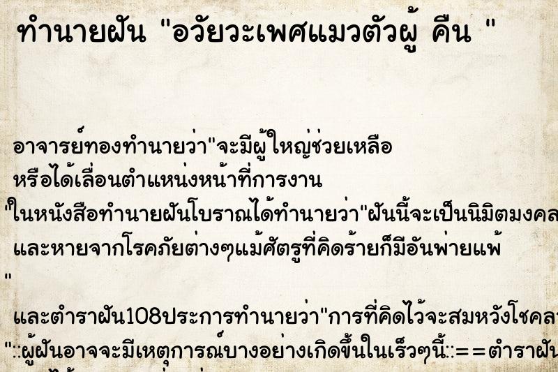 ทำนายฝัน อวัยวะเพศแมวตัวผู้ คืน 